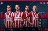 articulo relacionado