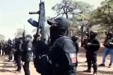 articulo relacionado