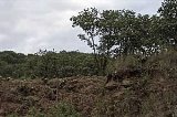 articulo relacionado