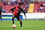 articulo relacionado