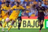 articulo relacionado