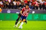 articulo relacionado