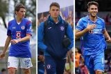 articulo relacionado