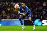 articulo relacionado