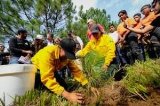 articulo relacionado