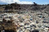 articulo relacionado
