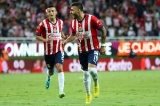 articulo relacionado
