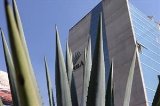 articulo relacionado