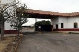 articulo relacionado