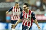 articulo relacionado