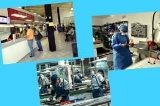 articulo relacionado