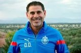 articulo relacionado