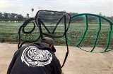articulo relacionado