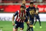 articulo relacionado