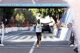 articulo relacionado