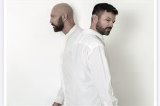 articulo relacionado