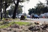 articulo relacionado