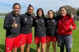 articulo relacionado