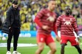 articulo relacionado