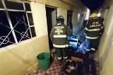 articulo relacionado