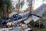 articulo relacionado