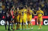 articulo relacionado
