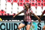 articulo relacionado