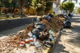 articulo relacionado
