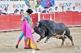 articulo relacionado