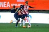 articulo relacionado