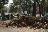 articulo relacionado