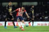 articulo relacionado