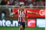 articulo relacionado