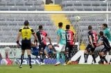 articulo relacionado