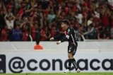 articulo relacionado