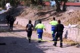 articulo relacionado