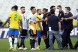 articulo relacionado