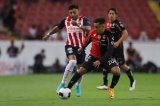 articulo relacionado