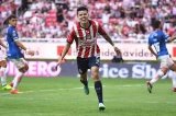 articulo relacionado