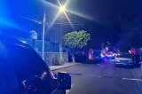 articulo relacionado