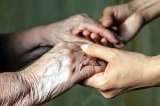 articulo relacionado