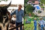 articulo relacionado