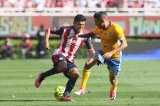articulo relacionado