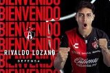 articulo relacionado