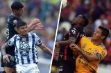 articulo relacionado