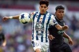 articulo relacionado