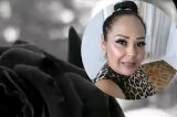 articulo relacionado