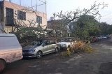 articulo relacionado