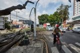 articulo relacionado