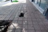 articulo relacionado